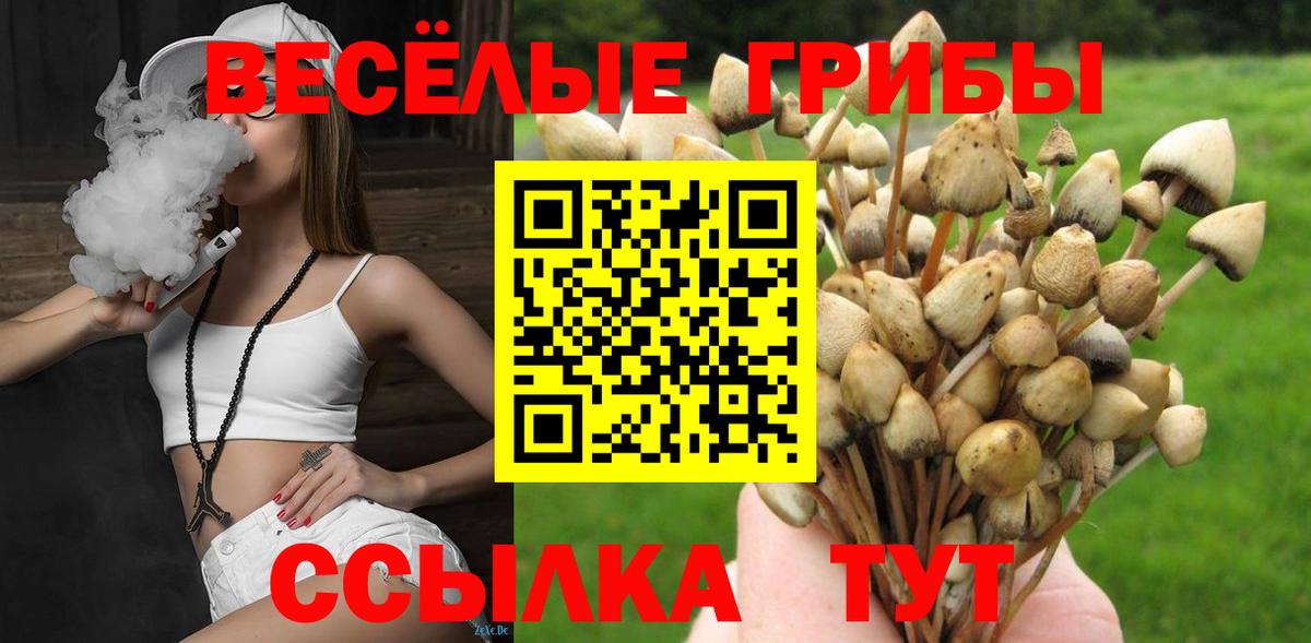 Галлюциногенные грибы мицелий Моздок